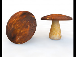 brown mushroom 3D Model
