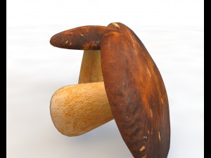 brown mushroom 3D Model