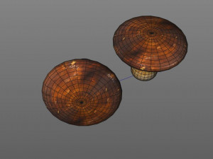 brown mushroom 3D Model