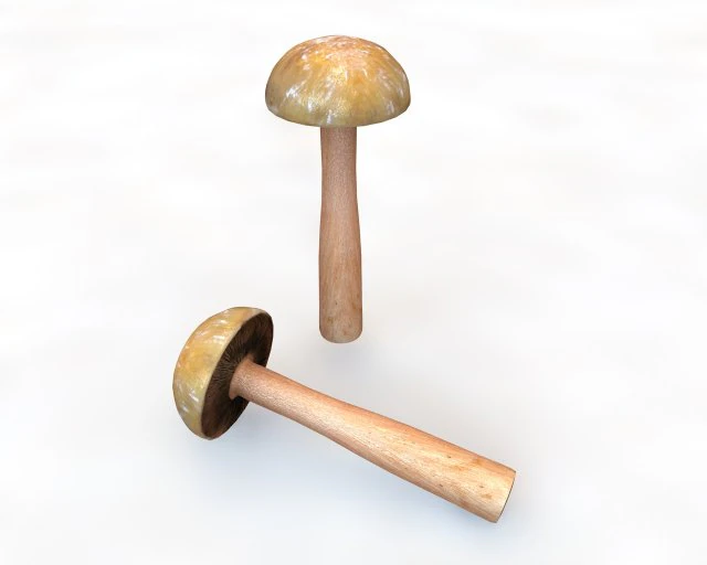 brown slim mushroom 3D Model .c4d .max .obj .3ds .fbx .stl .blend 