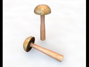 brown slim mushroom 3D Model