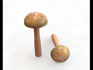 brown slim mushroom 3D Model