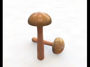 brown slim mushroom 3D Model