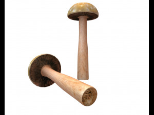 brown slim mushroom 3D Model