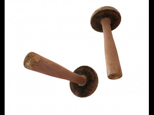 brown slim mushroom 3D Model