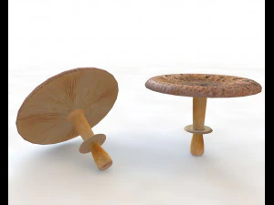 brown wide top mushroom 3D Model