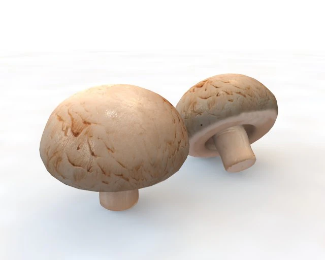 button mushroom 3D Model .c4d .max .obj .3ds .fbx .stl .blend 