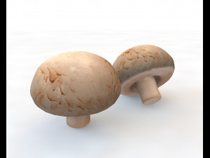 button mushroom 3D Model