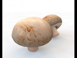 button mushroom 3D Model