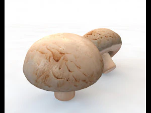 button mushroom 3D Model