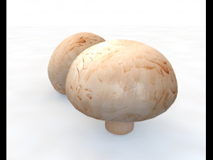 button mushroom 3D Model