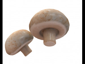 button mushroom 3D Model