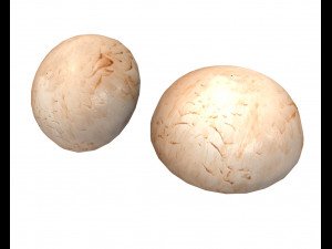 button mushroom 3D Model