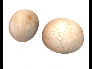 button mushroom 3D Model