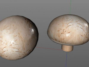 button mushroom 3D Model