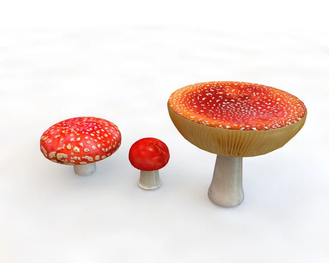 red mushroom 3D Model .c4d .max .obj .3ds .fbx .stl .blend 