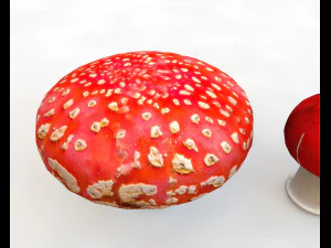 red mushroom 3D Model