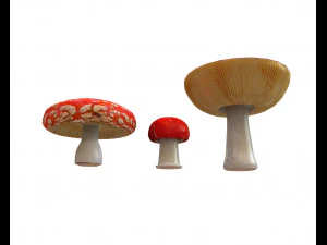 red mushroom 3D Model