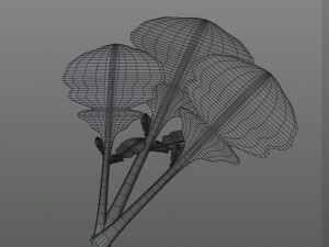 mustard greens Model 3D