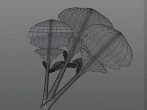 mustard greens 3D Model