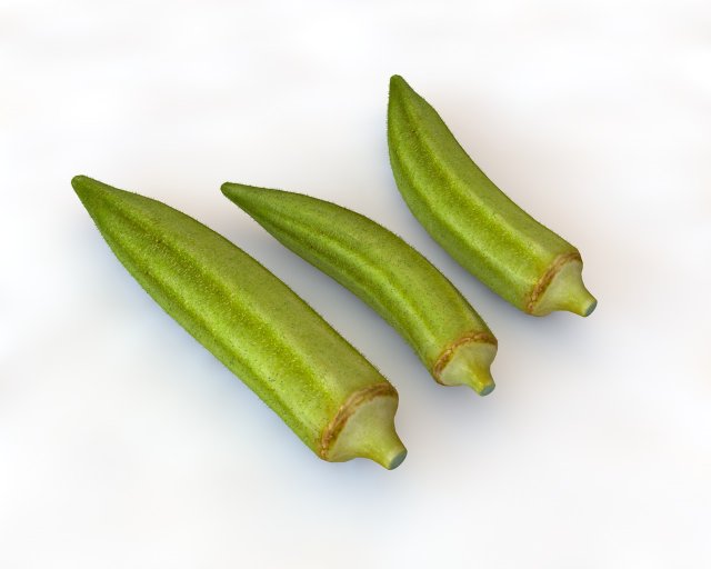 okra lady finger Modelo 3D .c4d .max .obj .3ds .fbx .stl .blend 