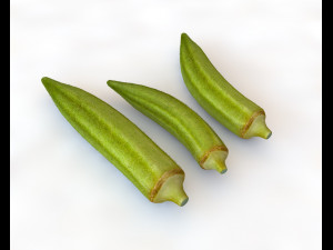 okra lady finger 3D Model