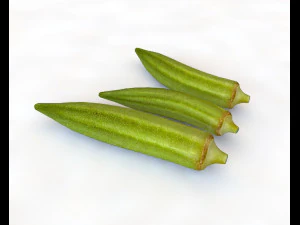 okra lady finger 3D Model