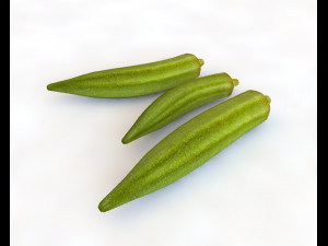 okra lady finger Modelo 3D
