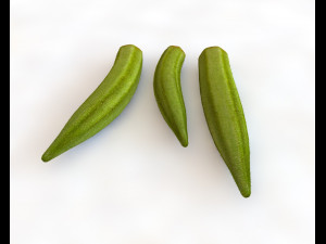 okra lady finger Modelo 3D