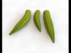 okra lady finger 3D Model