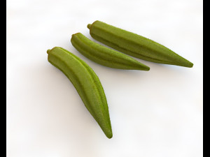 okra lady finger Modelo 3D