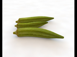 okra lady finger Modelo 3D