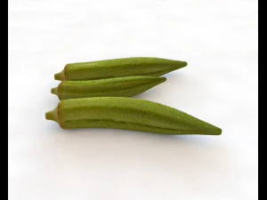 okra lady finger 3D Model