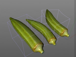 okra lady finger Modelo 3D