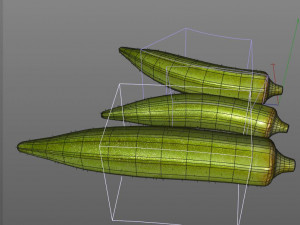 okra lady finger Modelo 3D