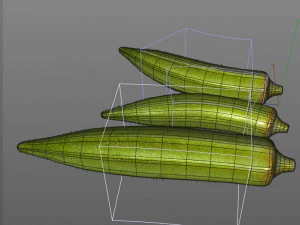 okra lady finger 3D Model