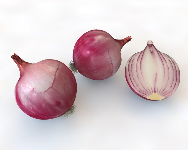 red onion 3D Model .c4d .max .obj .3ds .fbx .stl .blend 