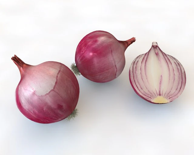 red onion 3D Model .c4d .max .obj .3ds .fbx .stl .blend