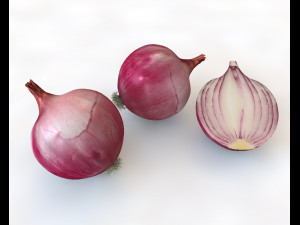 red onion 3D Model
