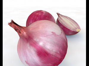 red onion 3D Model