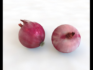 red onion 3D Model