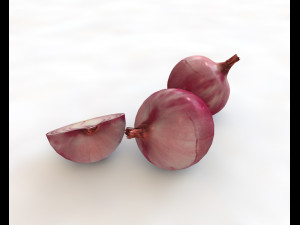 red onion 3D Model