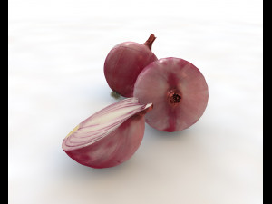 red onion 3D Model