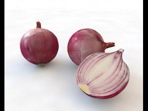 red onion 3D Model