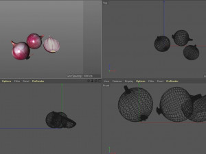 red onion 3D Model