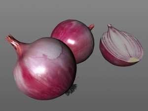 red onion 3D Model