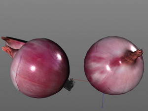 red onion 3D Model