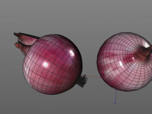 red onion 3D Model