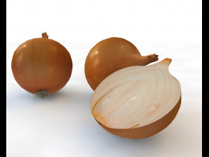 yellow onion Model 3D