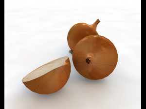yellow onion Model 3D
